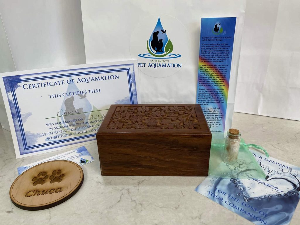 aquamation wooden urn